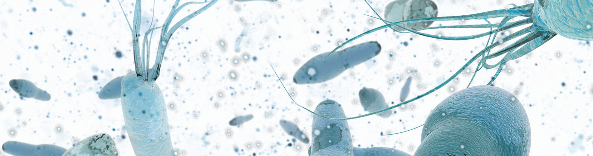 Ensuring metagenomic data integrity
